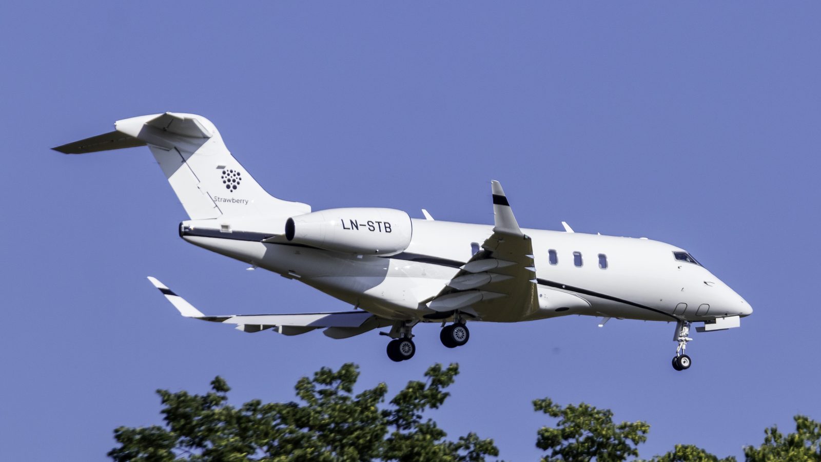 Bombardier Challenger 350 on approach